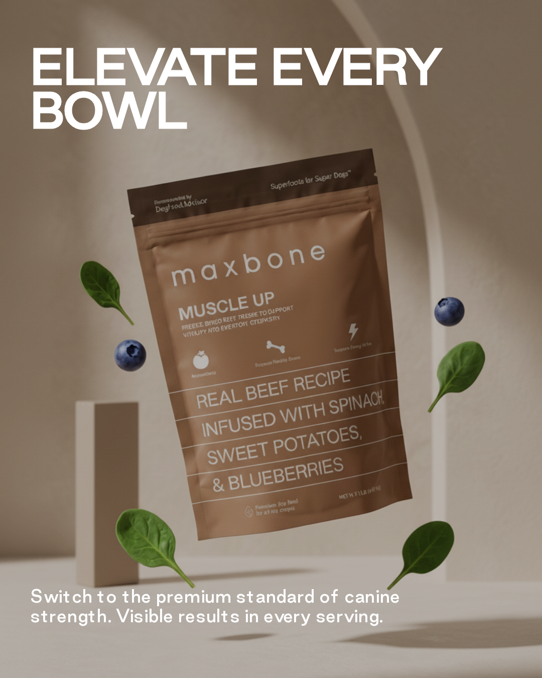 Elevate Every Bowl — maxbone food